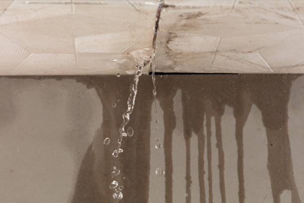 Professional Burst Pipe Cleanup technician working in Centreville, AL